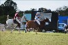 UKPA  NC Sat_1520